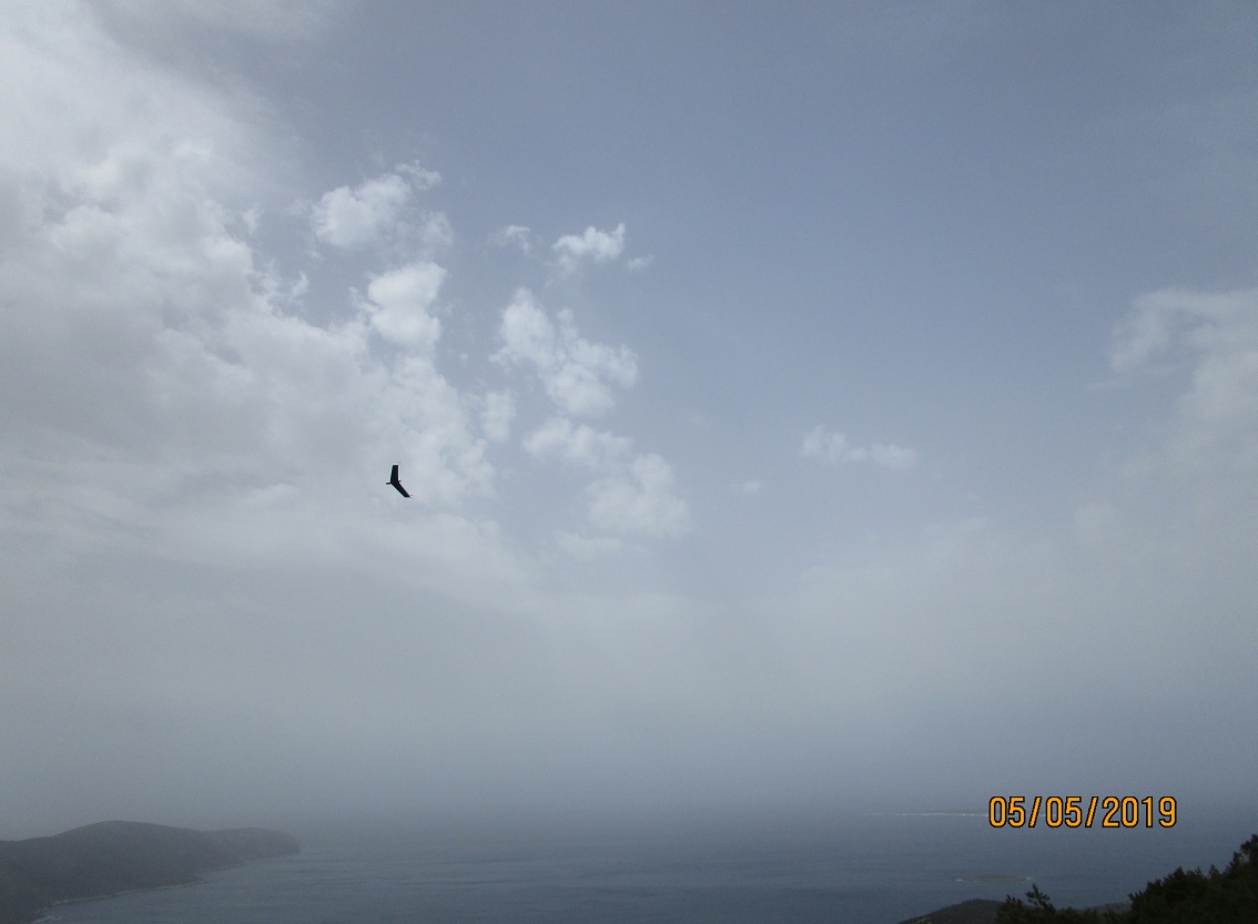 ����� ���� ��� �� ����� ��� ������ �� ������ �������