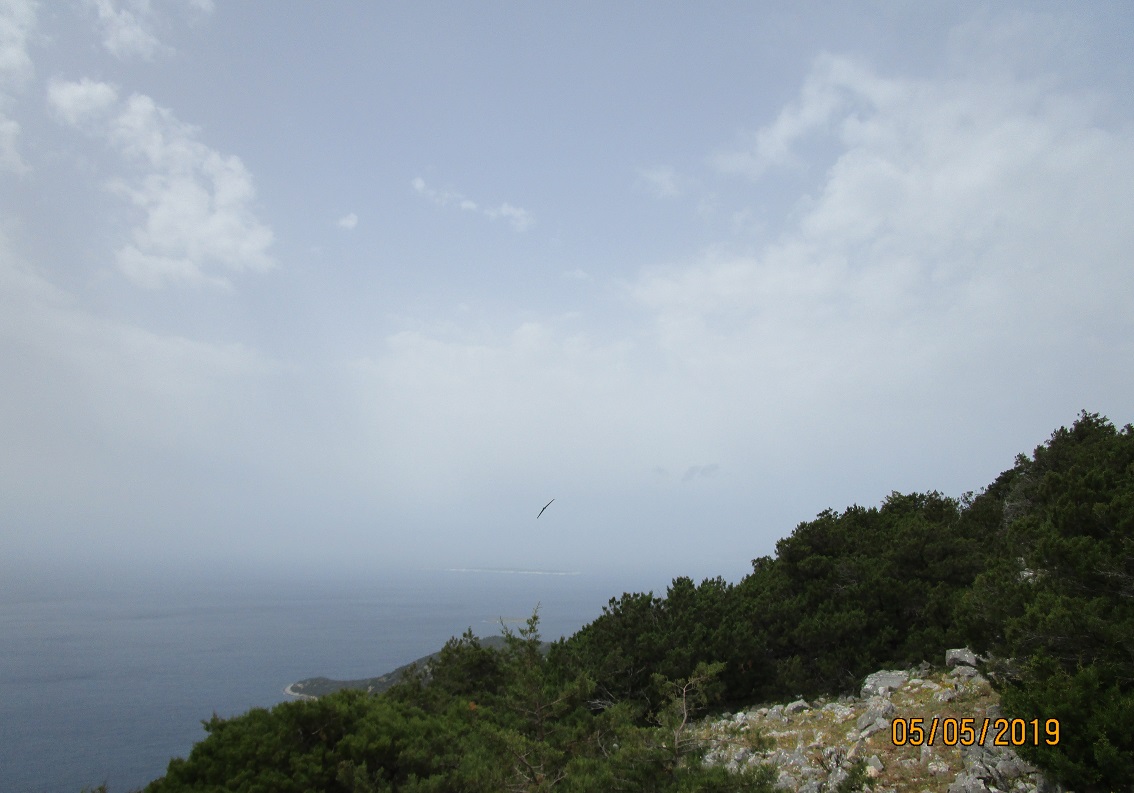 ����� ���� ��� �� ����� ��� ������ �� ������ �������