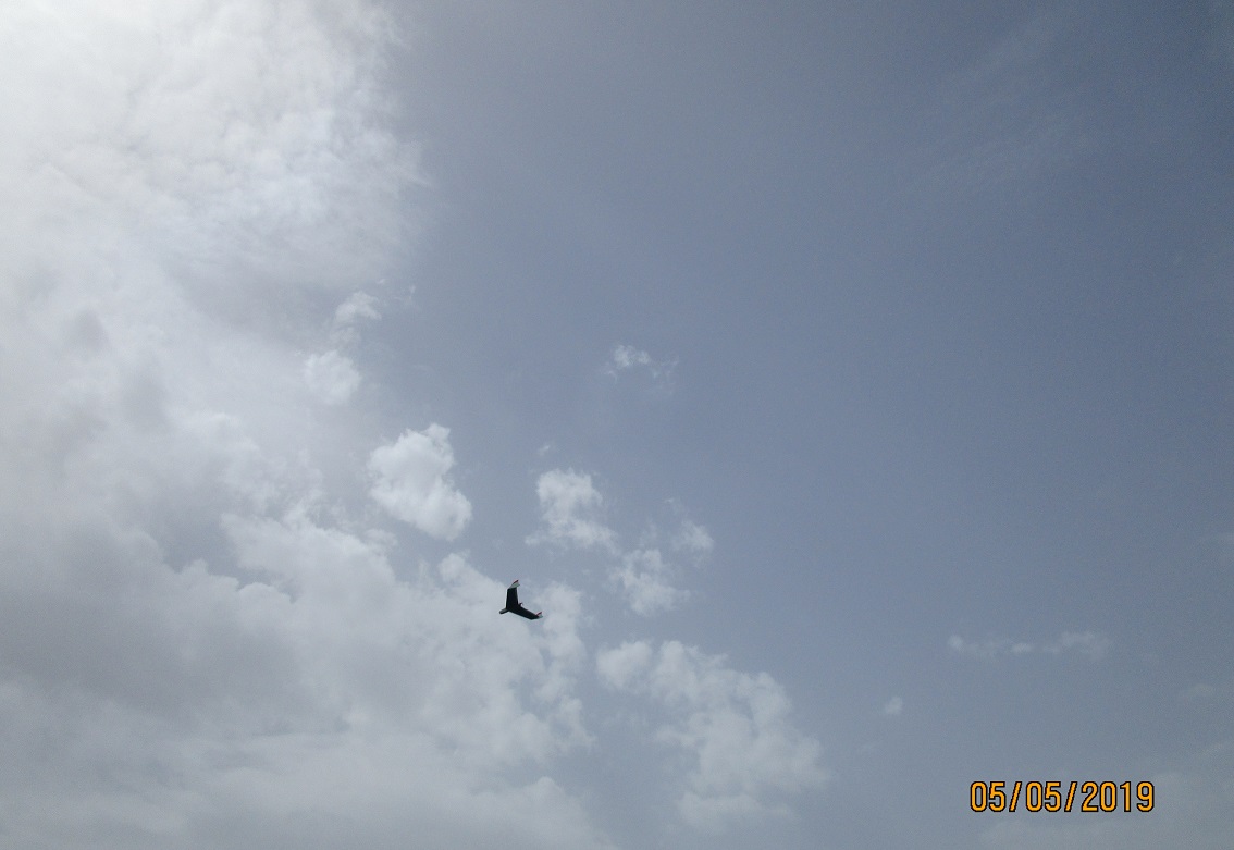 ����� ���� ��� �� ����� ��� ������ �� ������ �������