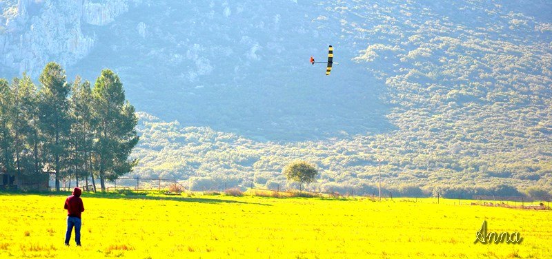 ����� ���� ��� �� ����� ��� ������ �� ������ �������