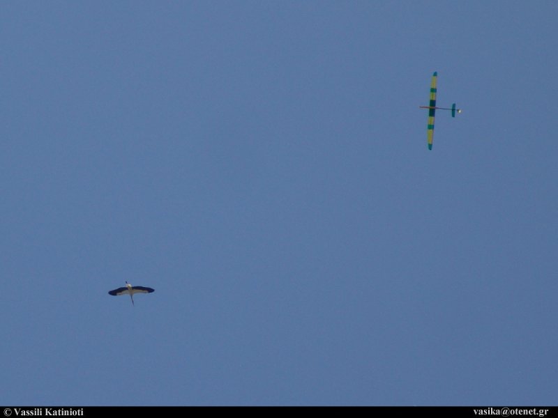 ����� ���� ��� �� ����� ��� ������ �� ������ �������