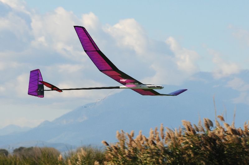 ����� ���� ��� �� ����� ��� ������ �� ������ �������