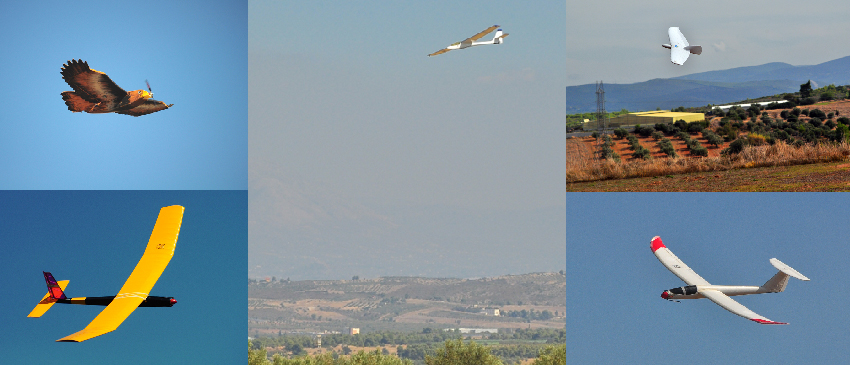 ����� ���� ��� �� ����� ��� ������ �� ������ �������