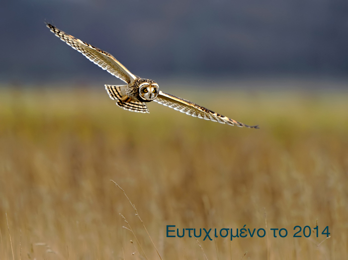 ����� ���� ��� �� ����� ��� ������ �� ������ �������