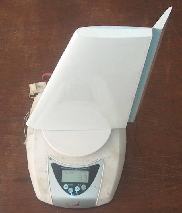 ����� ���� ��� �� ����� ��� ������ �� ������ �������