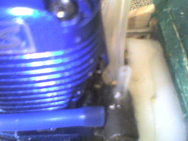 ����� ���� ��� �� ����� ��� ������ �� ������ �������