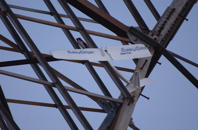 ����� ���� ��� �� ����� ��� ������ �� ������ �������