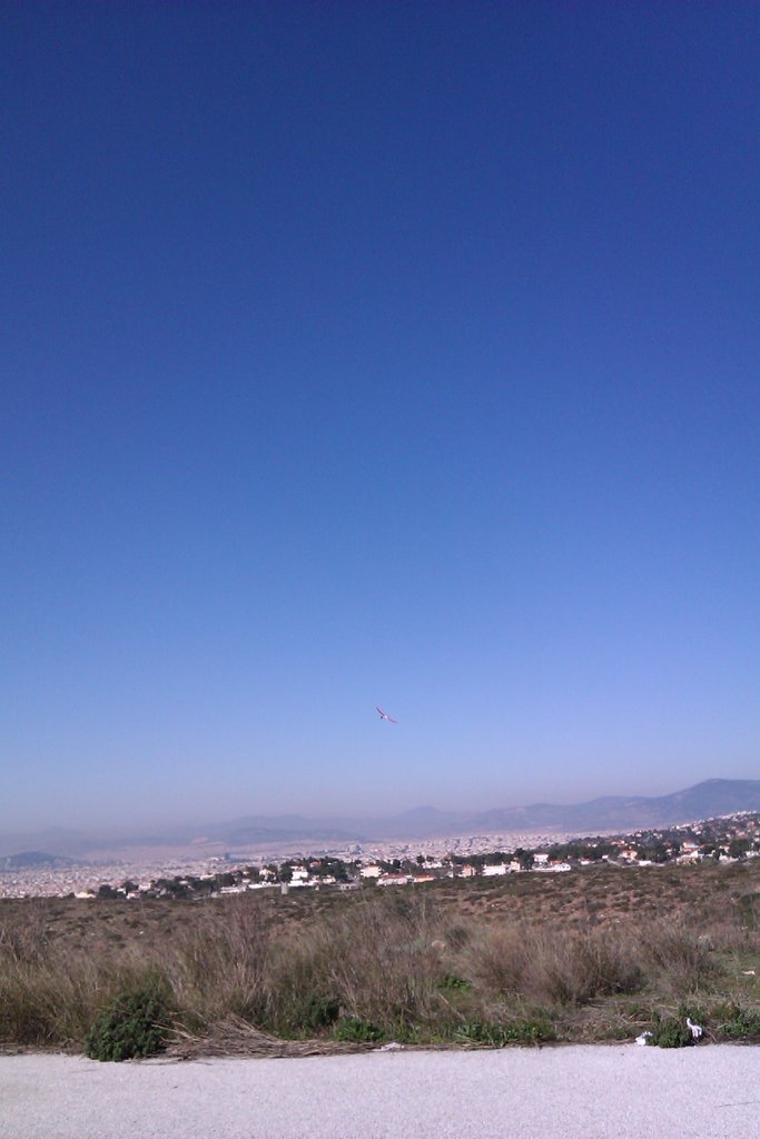 ����� ���� ��� �� ����� ��� ������ �� ������ �������