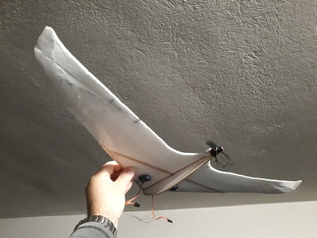 ����� ���� ��� �� ����� ��� ������ �� ������ �������