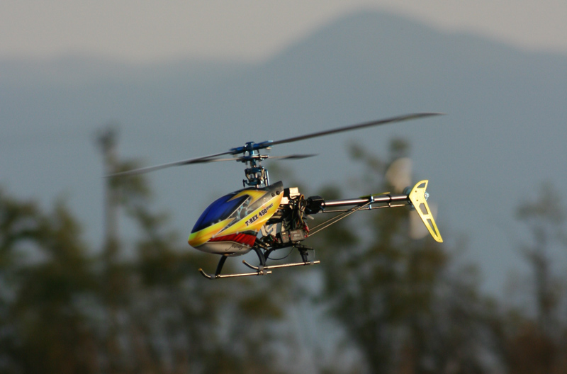 ����� ���� ��� �� ����� ��� ������ �� ������ �������