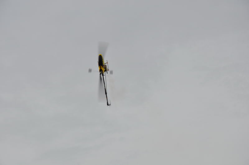 ����� ���� ��� �� ����� ��� ������ �� ������ �������