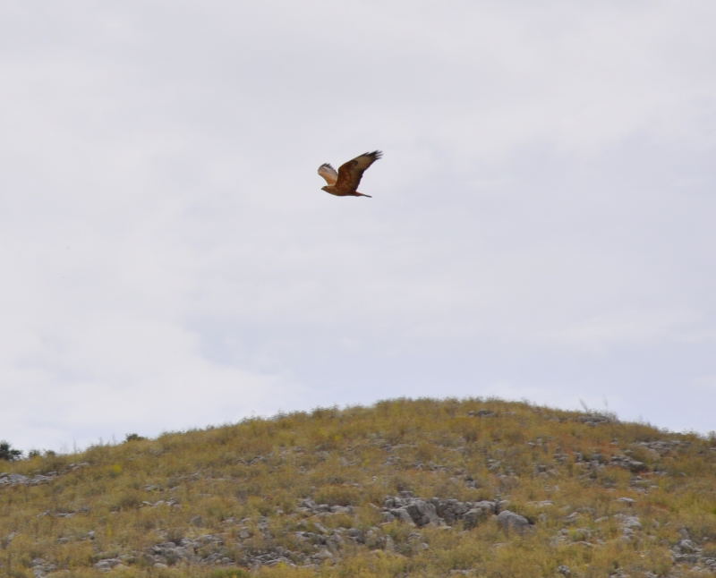 ����� ���� ��� �� ����� ��� ������ �� ������ �������