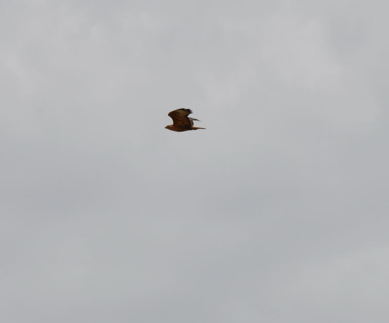 ����� ���� ��� �� ����� ��� ������ �� ������ �������