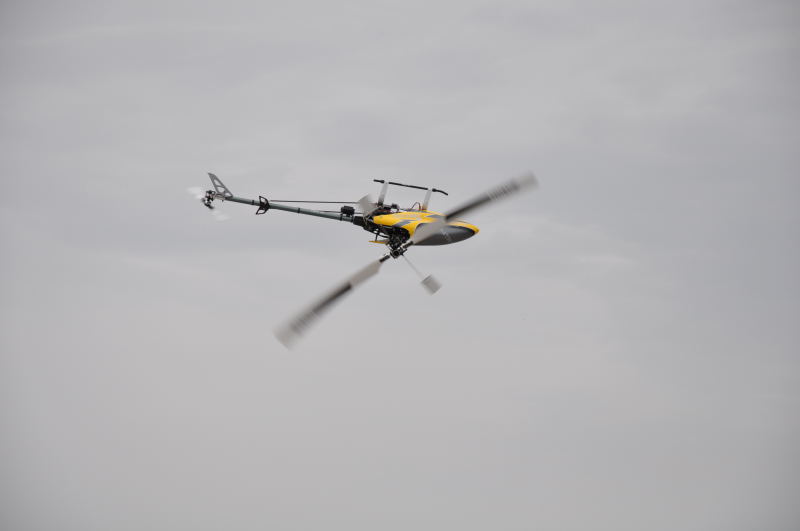 ����� ���� ��� �� ����� ��� ������ �� ������ �������