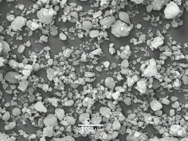 ����� ���� ��� �� ����� ��� ������ �� ������ �������