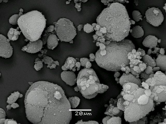 ����� ���� ��� �� ����� ��� ������ �� ������ �������