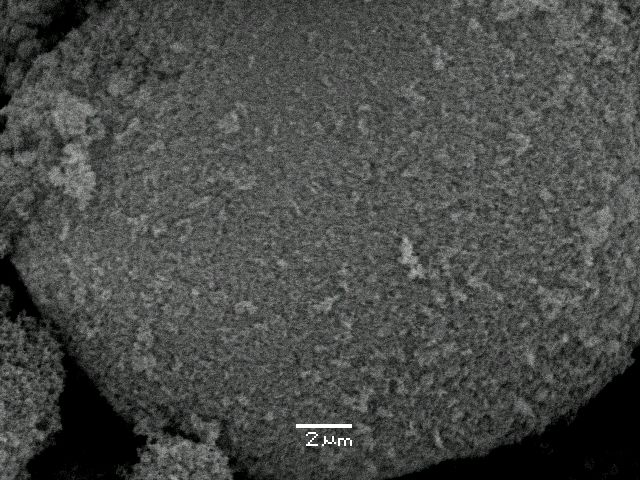 ����� ���� ��� �� ����� ��� ������ �� ������ �������