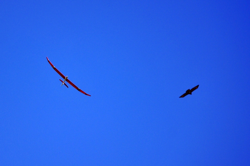 ����� ���� ��� �� ����� ��� ������ �� ������ �������