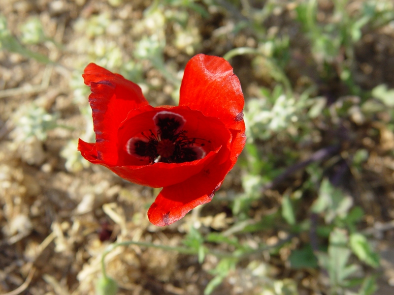 ����� ���� ��� �� ����� ��� ������ �� ������ �������