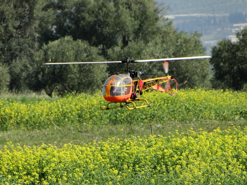 ����� ���� ��� �� ����� ��� ������ �� ������ �������