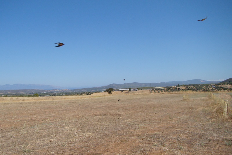 ����� ���� ��� �� ����� ��� ������ �� ������ �������