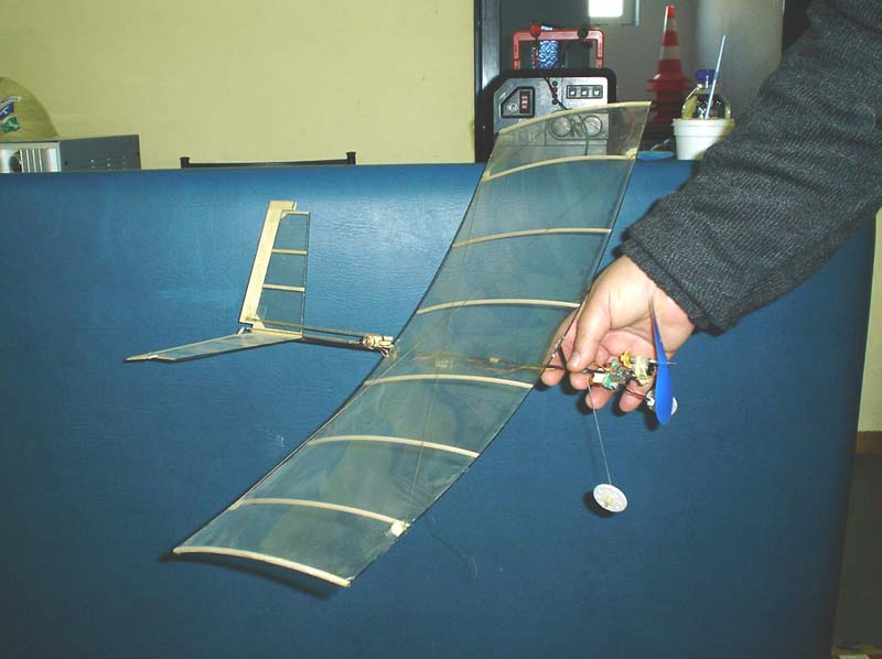 ����� ���� ��� �� ����� ��� ������ �� ������ �������