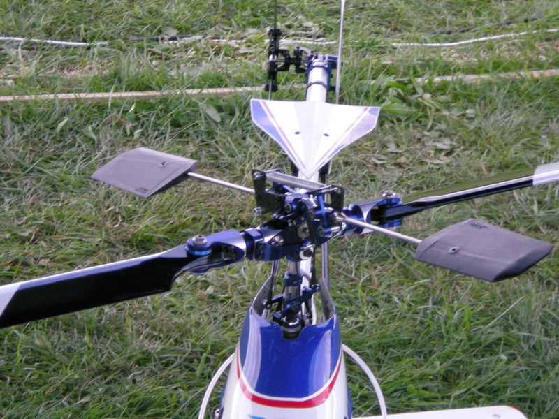 ����� ���� ��� �� ����� ��� ������ �� ������ �������