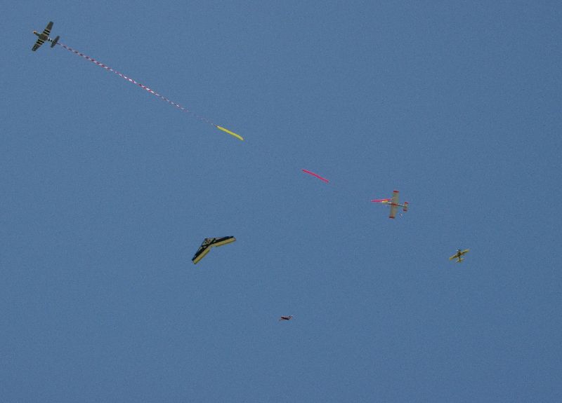 ����� ���� ��� �� ����� ��� ������ �� ������ �������