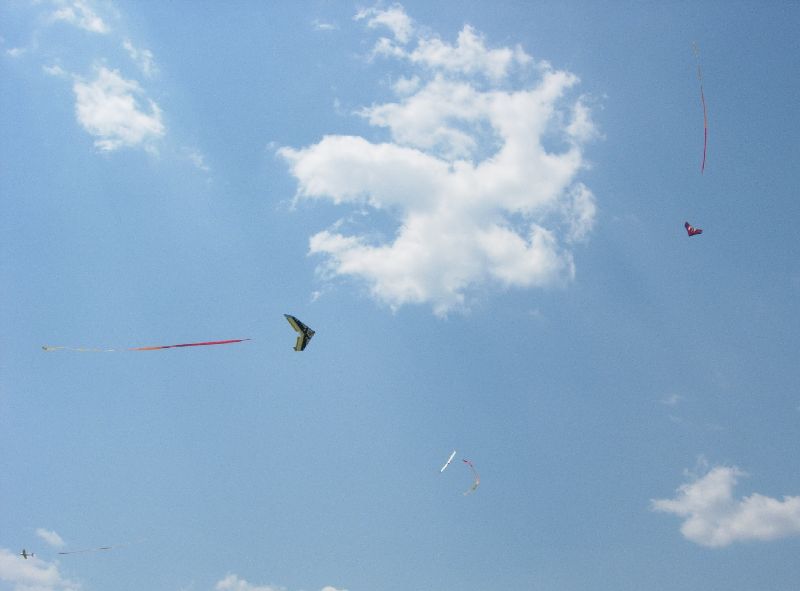 ����� ���� ��� �� ����� ��� ������ �� ������ �������