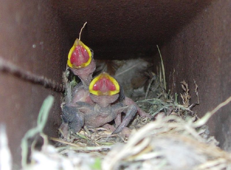 ����� ���� ��� �� ����� ��� ������ �� ������ �������