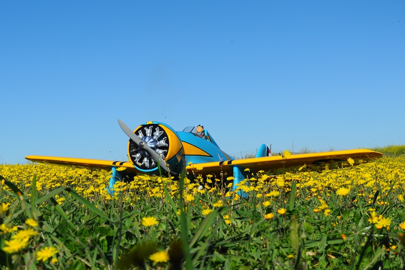 ����� ���� ��� �� ����� ��� ������ �� ������ �������