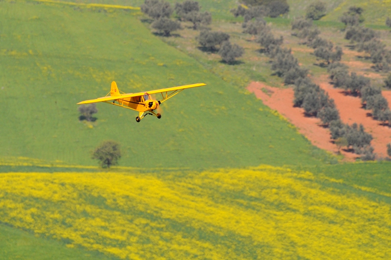 ����� ���� ��� �� ����� ��� ������ �� ������ �������