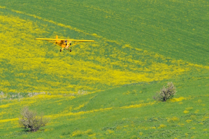 ����� ���� ��� �� ����� ��� ������ �� ������ �������