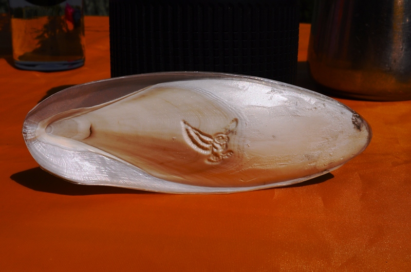 ����� ���� ��� �� ����� ��� ������ �� ������ �������