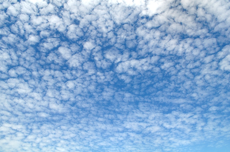 ����� ���� ��� �� ����� ��� ������ �� ������ �������