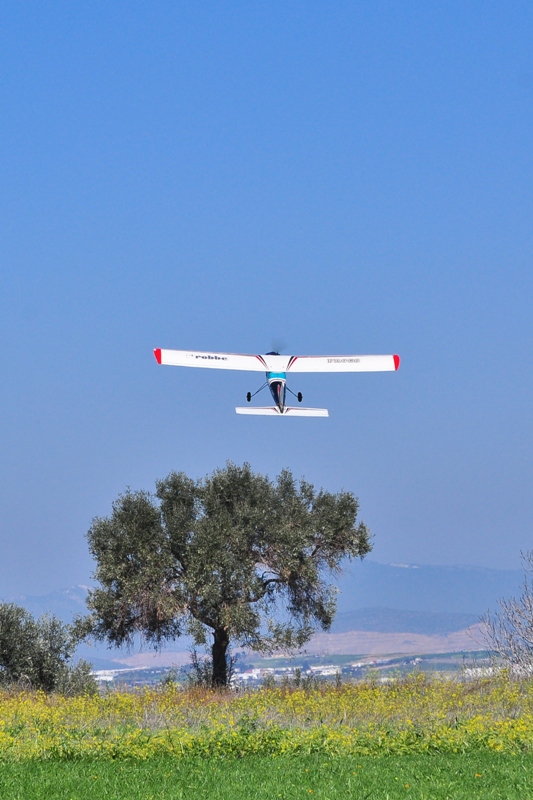 ����� ���� ��� �� ����� ��� ������ �� ������ �������