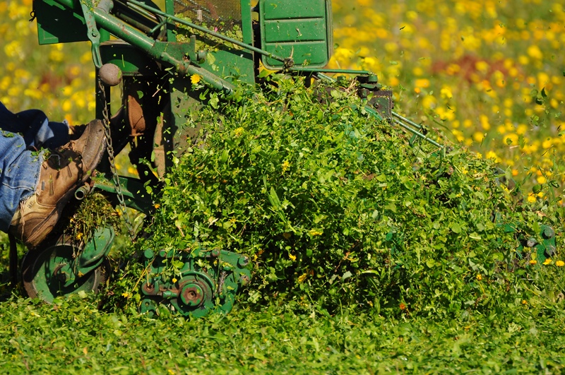 ����� ���� ��� �� ����� ��� ������ �� ������ �������