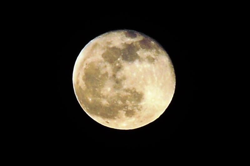 ����� ���� ��� �� ����� ��� ������ �� ������ �������