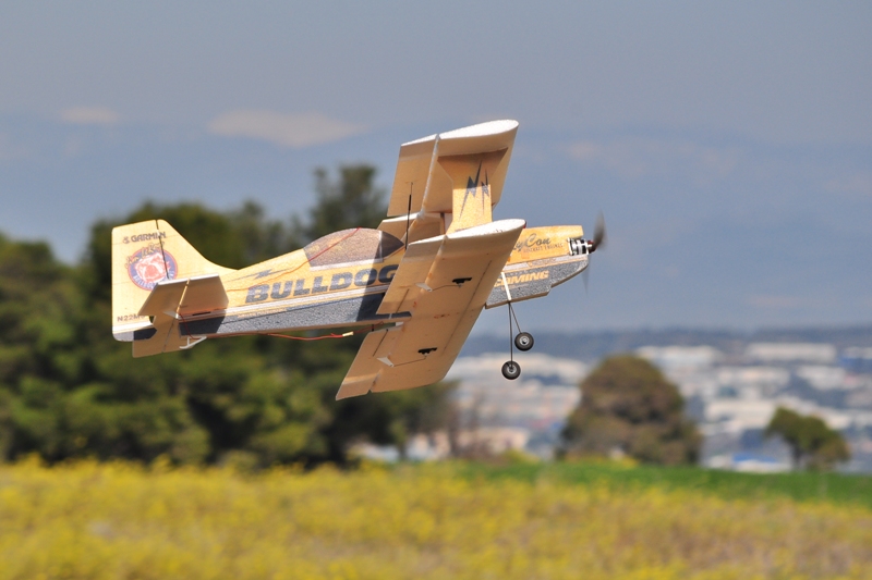 ����� ���� ��� �� ����� ��� ������ �� ������ �������