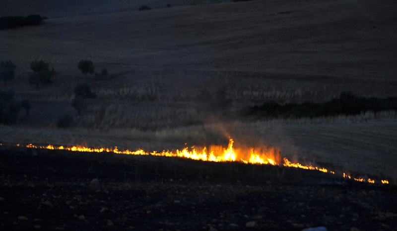 ����� ���� ��� �� ����� ��� ������ �� ������ �������