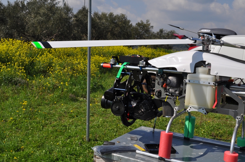 ����� ���� ��� �� ����� ��� ������ �� ������ �������