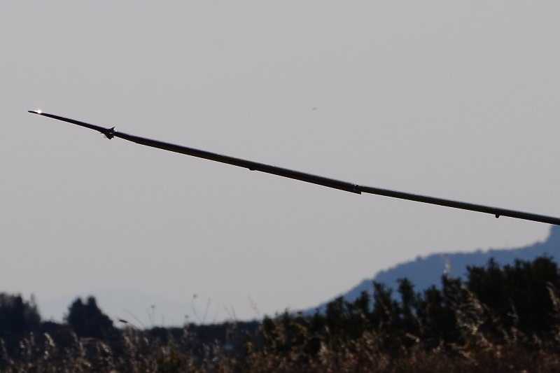 ����� ���� ��� �� ����� ��� ������ �� ������ �������