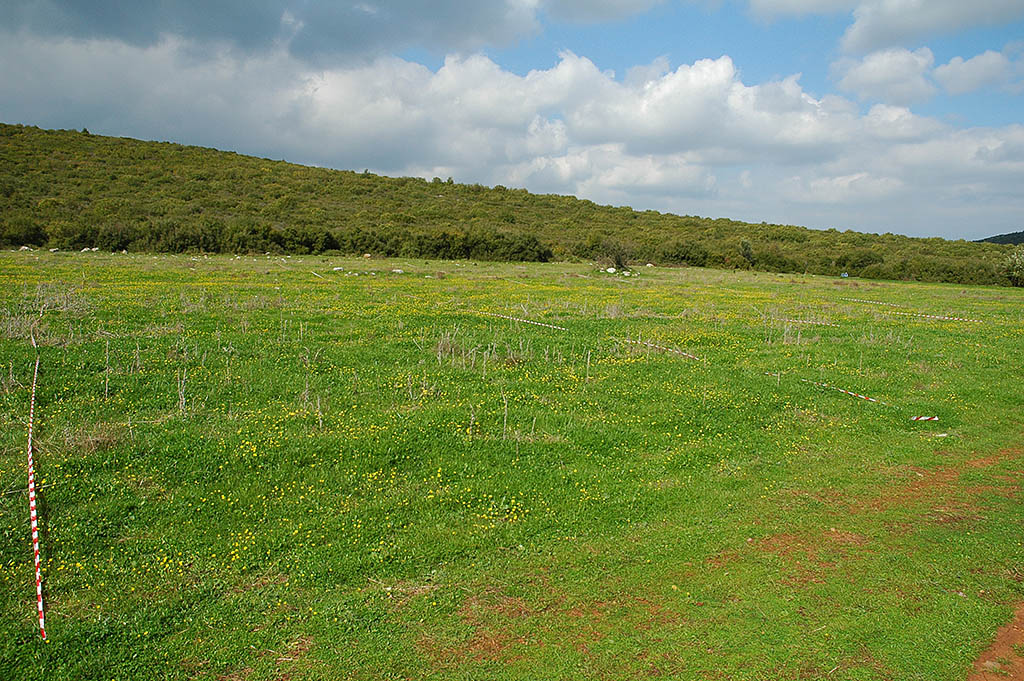 ����� ���� ��� �� ����� ��� ������ �� ������ �������