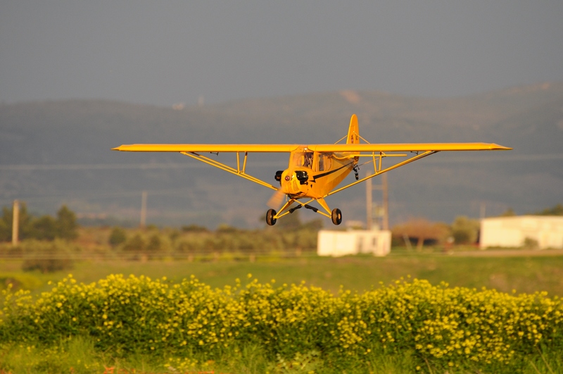 ����� ���� ��� �� ����� ��� ������ �� ������ �������