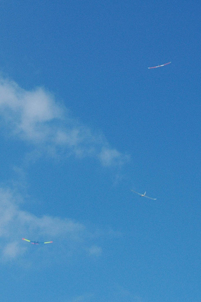 ����� ���� ��� �� ����� ��� ������ �� ������ �������