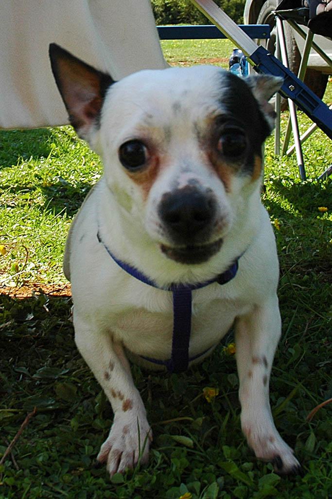 ����� ���� ��� �� ����� ��� ������ �� ������ �������