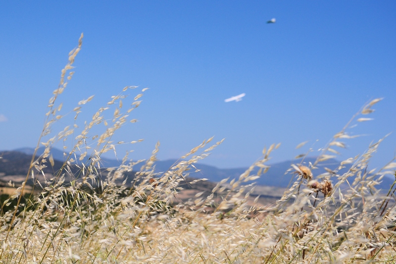 ����� ���� ��� �� ����� ��� ������ �� ������ �������