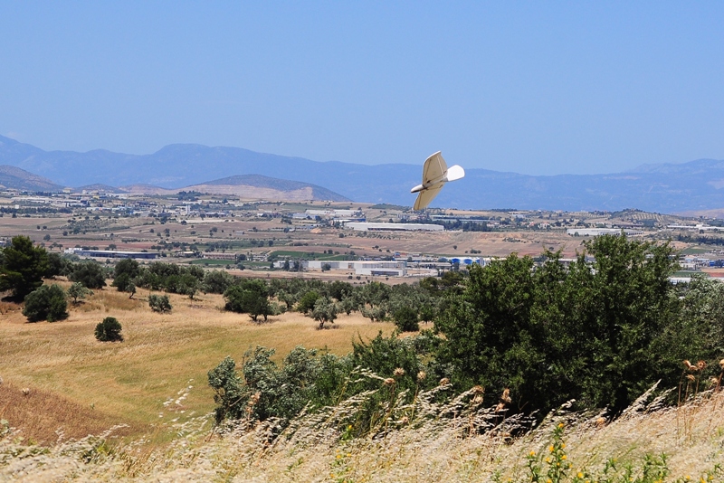 ����� ���� ��� �� ����� ��� ������ �� ������ �������