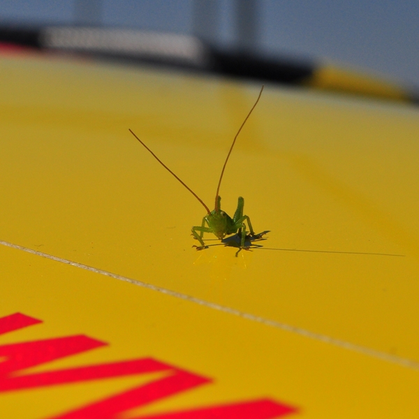 ����� ���� ��� �� ����� ��� ������ �� ������ �������