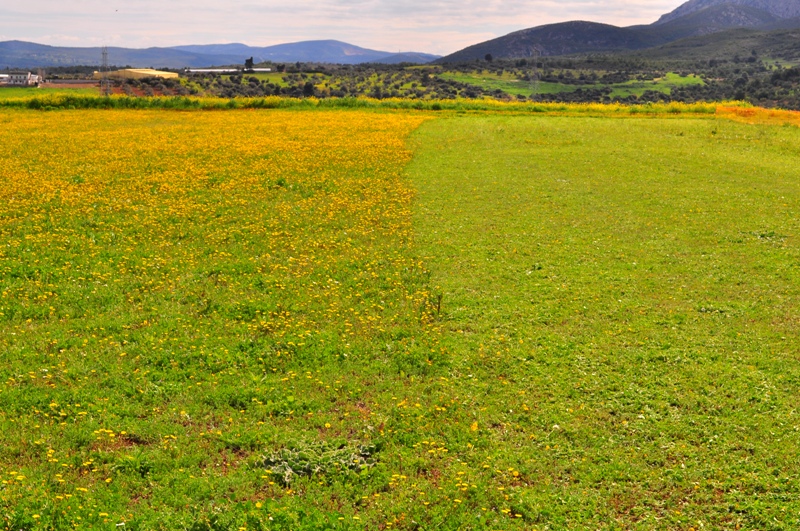 ����� ���� ��� �� ����� ��� ������ �� ������ �������